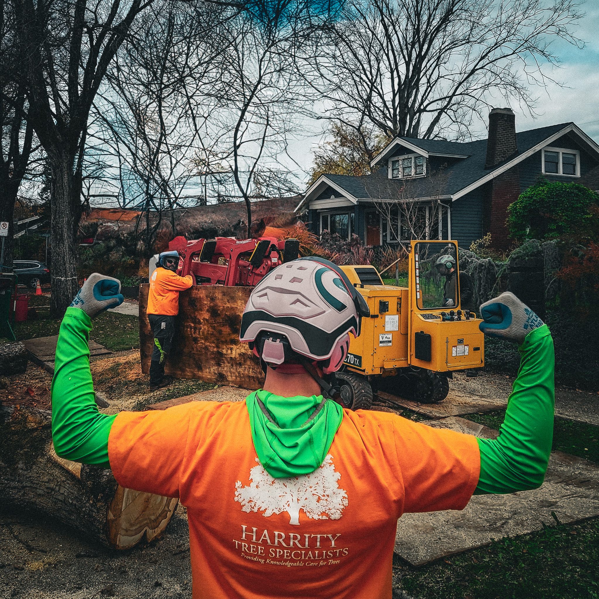 Certified arborist working on residential tree care in Portland Oregon.