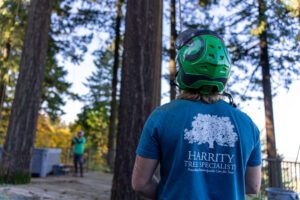 * Experienced arborist performing tree maintenance in Portland yard