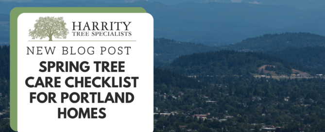 Spring Tree Care Checklist for Portland Homes cover photo