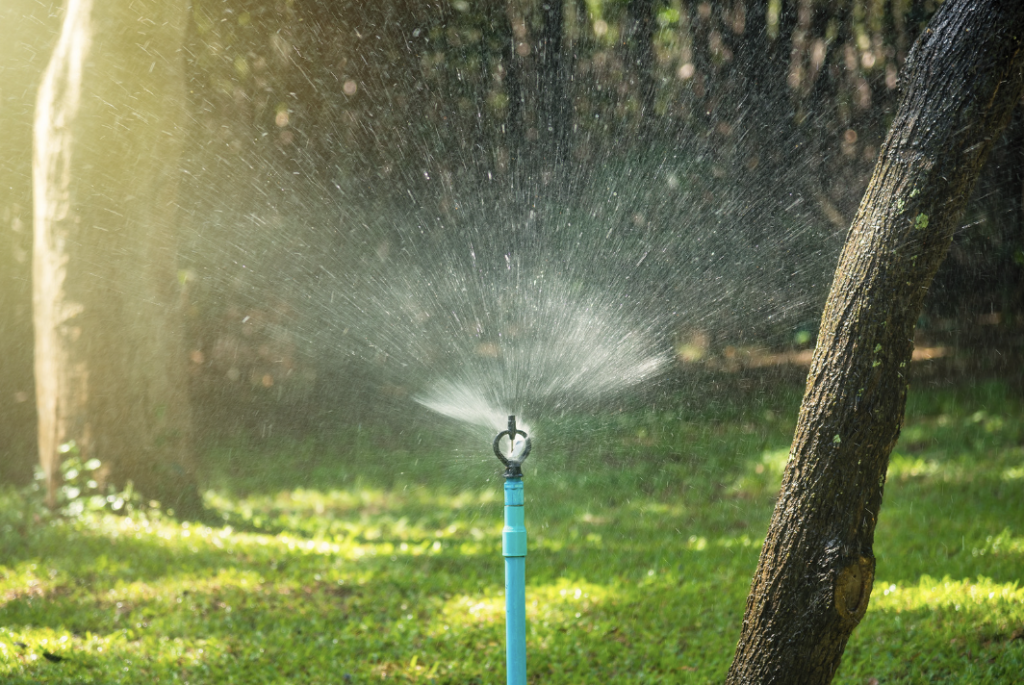 Watering a Portland Garden