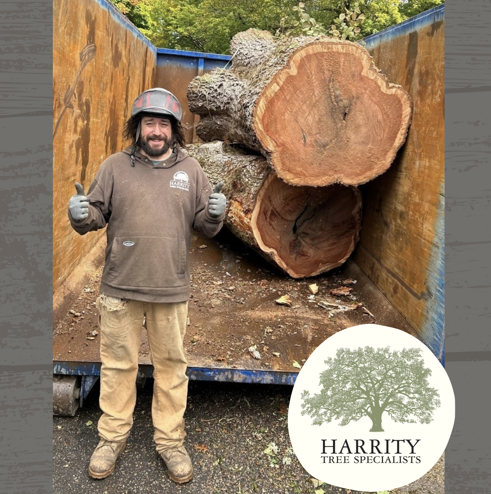 A Certified Arborist doing tree removal.